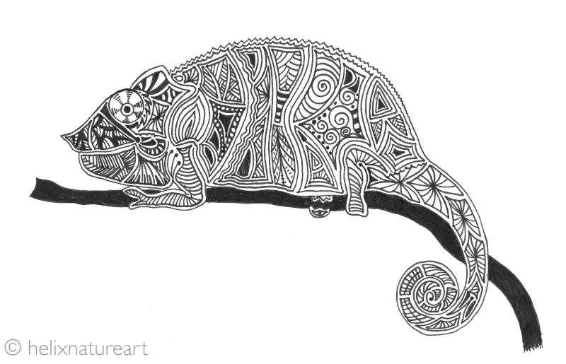 Chamelion